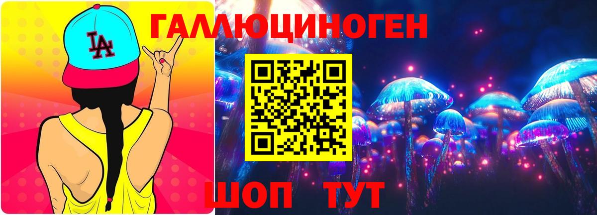 Дюртюли  Галлюциногенные грибы Psilocybine cubensis  Вход с VPN 